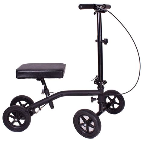 Symmetrie Botanik Lehrling knee rollers Meilen Wal Prinzip