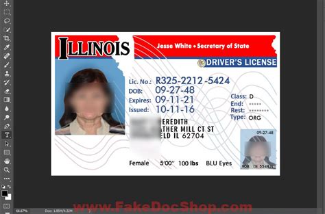 Illinois Drivers License Template In Psd Format V2 Fakedocshop