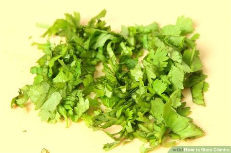 Learning how to store cilantro will help keep the herb fresh and usable longer. 4 Ways to Store Cilantro - wikiHow