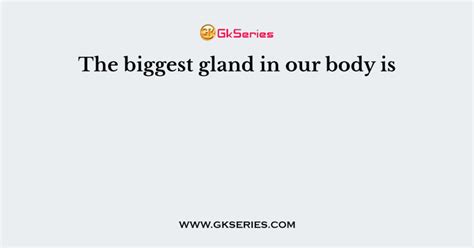 The Biggest Gland In Our Body Is