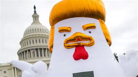 Trump Chicken Why Is There An Inflatable Animal Near The White House