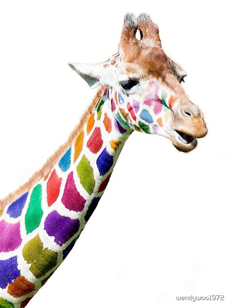 Colourful Giraffe By Wendywoo1972 Redbubble