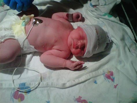 Annsters Domain New Nephew Baby Boy Born