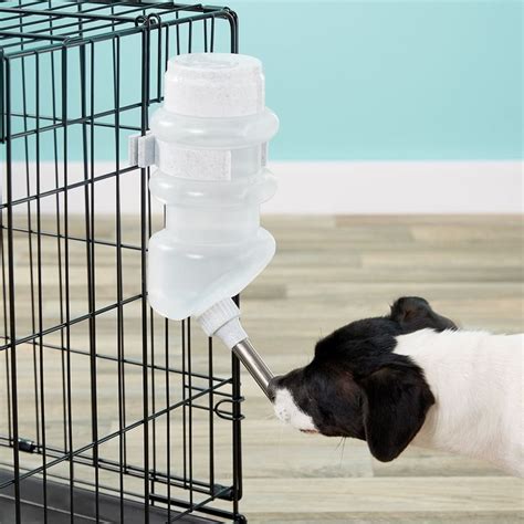 Lixit Top Fill Dog Water Bottle 44 Oz Dog Water Bowls