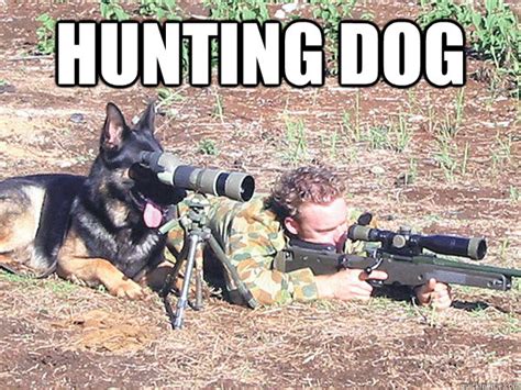 Hunting Dog Memes Quickmeme