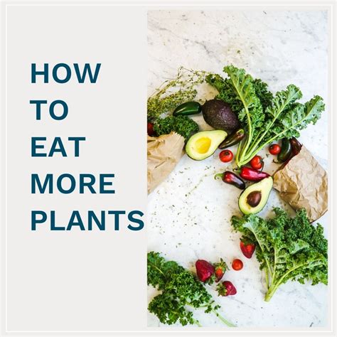 12 Tips For Eating More Plants