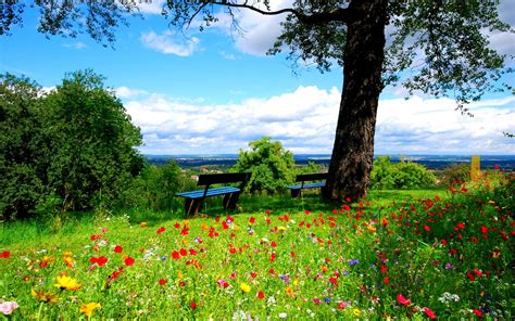 Free Download Landscape Beautiful Spring Nature Hd Wallpaper Wallpaper