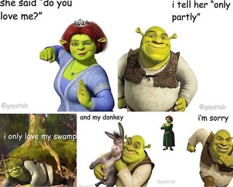 Keep Sending The Shrek Memes They’re Amazing M Shrek Shrek5 Shrekisloveshrekislife