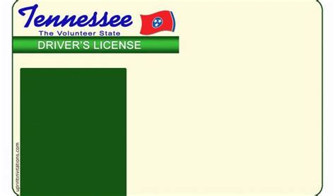 Tennessee Drivers License Template Tennessee Drivers License Template
