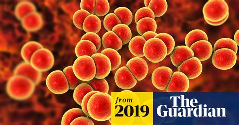 Super Gonorrhoea Warning After Women In Uk Are Treated Sexual Health The Guardian