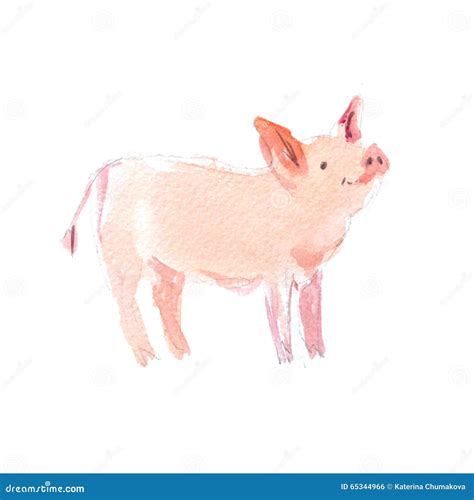 Watercolor Hand Drawn Illustration Of Cute Pigs Stock Illustration