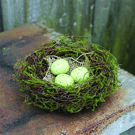 Moss Bird Nest In Green With Eggs 5 Diameter Bird Nest Woodland