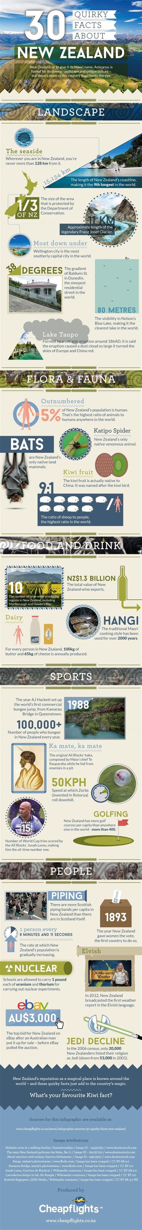 30 Quirky Facts About New Zealand Infographic New Zealand Travel