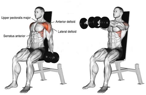 How To Dumbbbell Pull Over Proper Form Exercise Videos And Guides