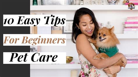 10 Easy Pet Care Tips For Beginners Youtube