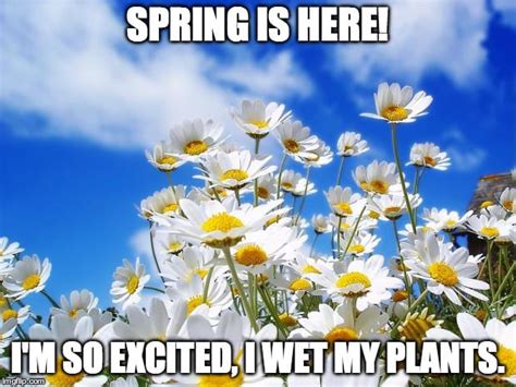 Funny Spring Memes Enchanted Little World