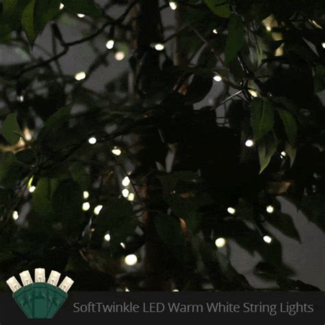 Wide Angle 5mm Led Lights 70 5mm Warm White Softtwinkle Tm Led