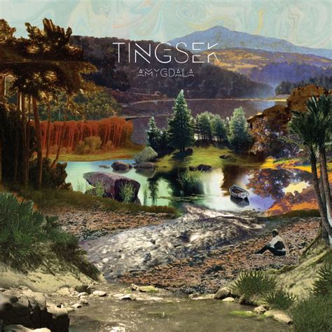 Tingsek they showed up and were beautiful. Amygdala Lyrics - Tingsek