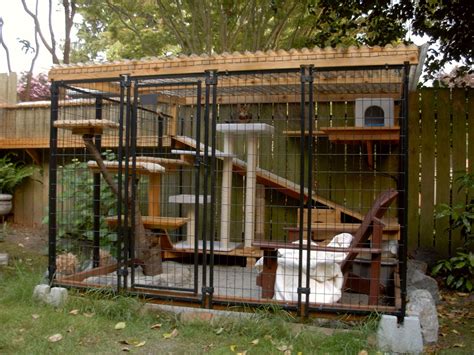 My parents recently got a third cat, and it became too much of a hassle to keep track of them outside so i decided to make an outdoor cat enclosure. Catios iz the new backyard feature that you'll absolutely ...