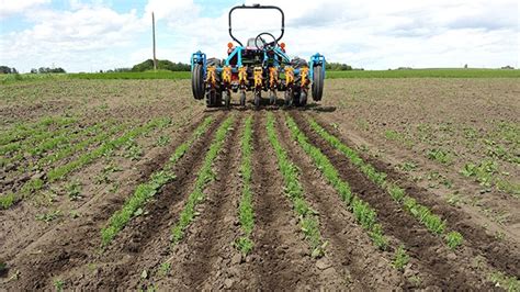David grays winter grass killer will control the growth of winter grass when used as per the label instructions. Novel weed control for organic flax - Top Crop ManagerTop Crop Manager