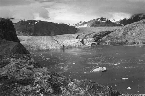 Muir And Riggs Glaciers Muir Inlet Alaska 1950 Us Geological Survey