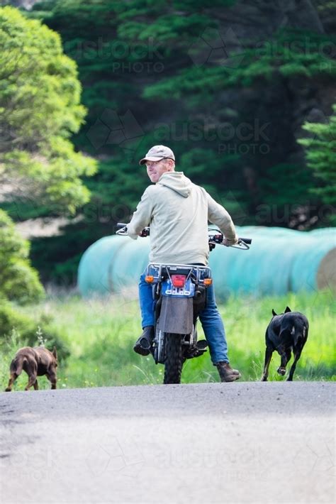 Image Of Farmer And His Working Dogs With Motorbike Austockphoto