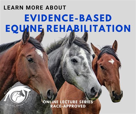 Evidence Based Equine Rehabilitation From Aass Equinology Institute