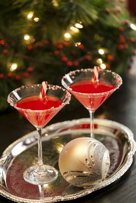 These christmas martinis are sure to spread the holiday cheer. 10 of the Best Ginger Beer Cocktail Drinks with Recipes