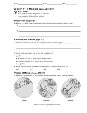 Biology 11 4 Meiosis Answer Key Fill And Sign Printable Template Online