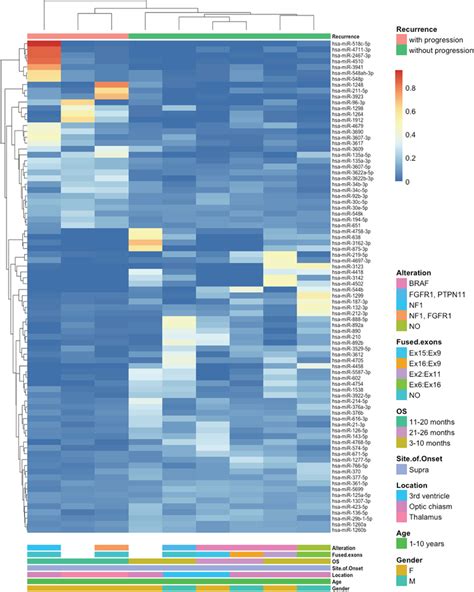hierarchical clustering of micrornas displaying differential expression download scientific