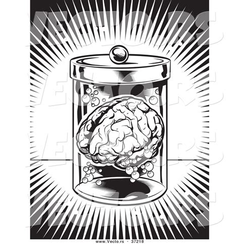 Brain Jack Image Brain In A Jar