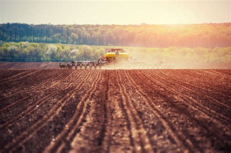 Choosing a Career in Agriculture: Benefits, Tips and Career Paths