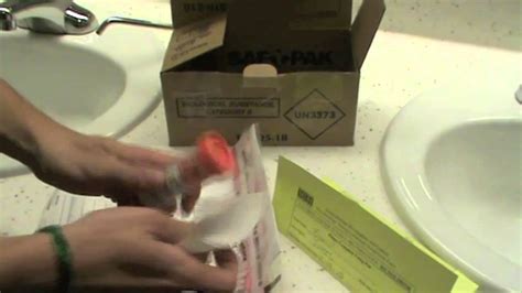 How do you collect a stool sample from a dog