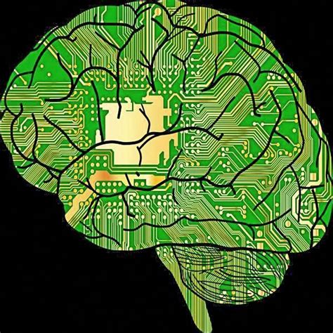 what can i take to help my memory # | Increase memory ...