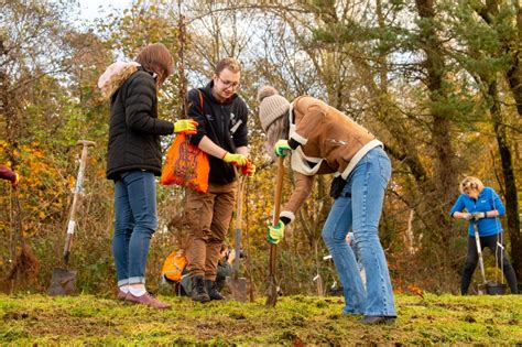 News In Pictures Tree Planting Malone Playing Fields One Million