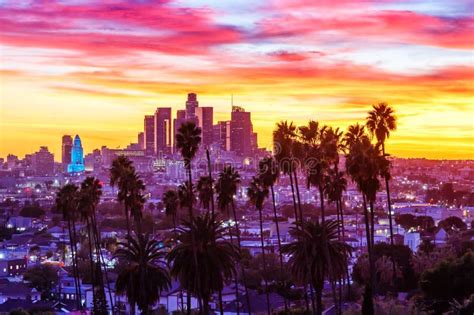 View Of Downtown Los Angeles Skyline With Palm Trees At Sunset In