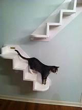 Pictures of Cat Shelves Stairs
