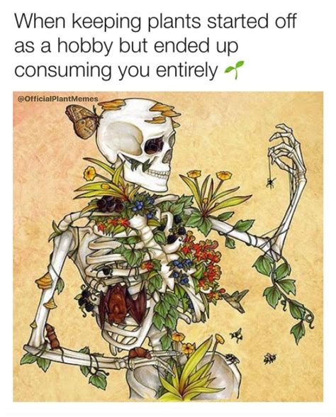 Check out our plant lovers gift selection for the very best in unique or custom, handmade pieces from our shops. Pin on Best Succulent Memes for Plant Lovers