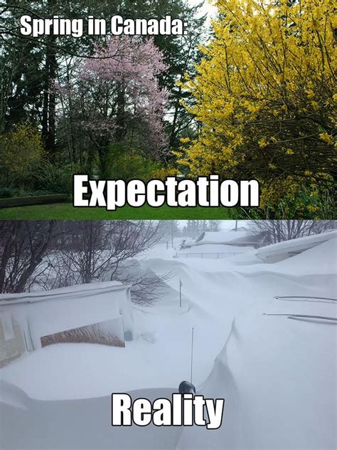 First Day Of Spring And It Snows In Alberta Canada Memes Canada