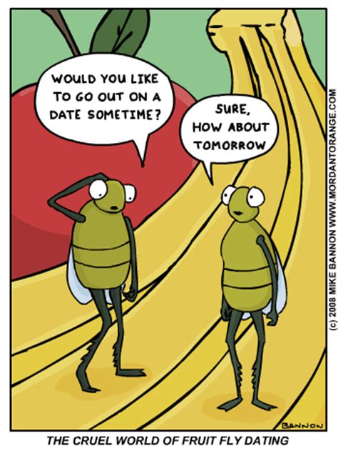 My Sanity Gone: FireFlies
