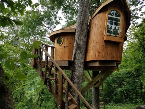 Stairs : treehouse