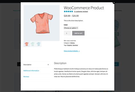 How To Show Product Description In Woocommerce