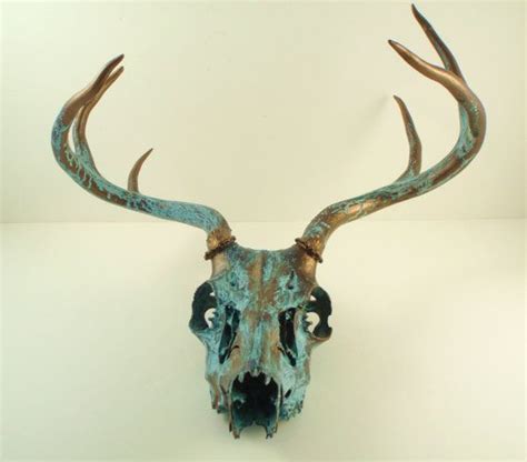 Deer Skull Taxidermy With Antlers Bronze Natural Turquoise Etsy
