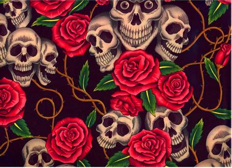 Skulls And Roses Wallpapers Top Free Skulls And Roses Backgrounds