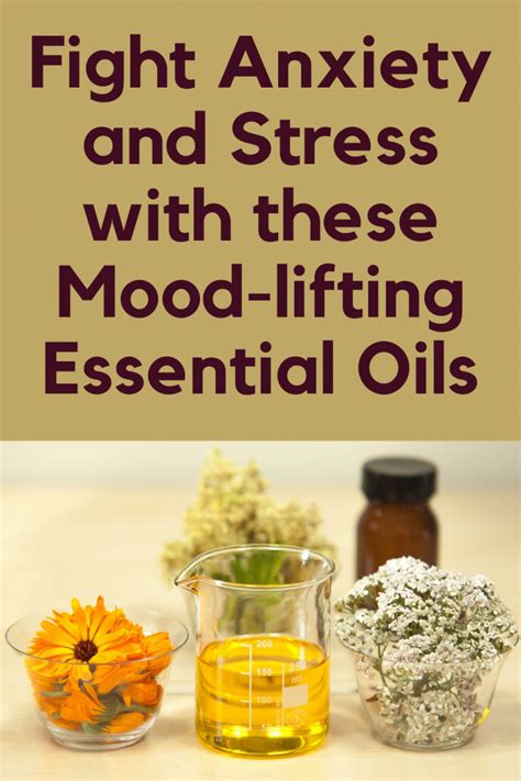 5 Great Essential Oils For Stress And Anxiety Calming Essential Oils