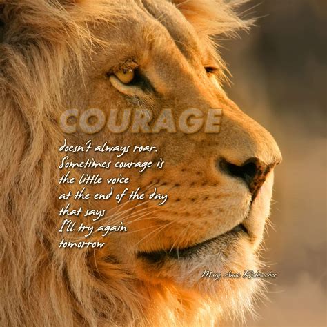 Lion Quotes Wallpapers Top Free Lion Quotes Backgrounds Wallpaperaccess