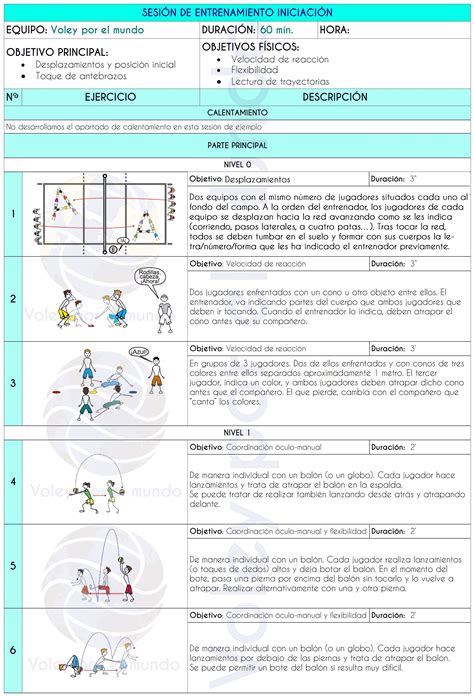 Total 30 Imagen Como Se Juega El Voleibol Y Reglas Viaterramx