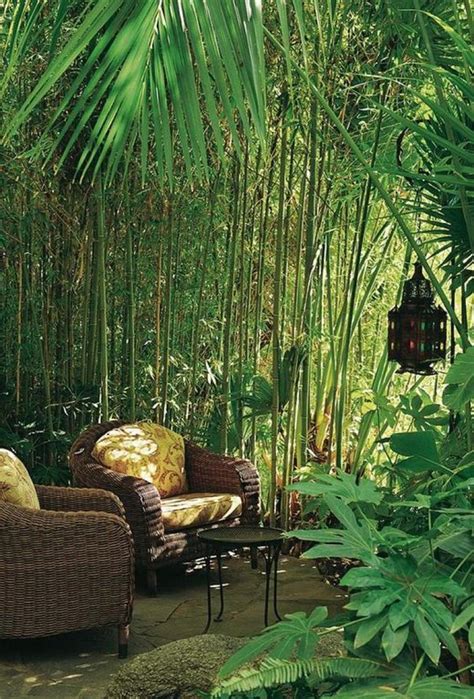 How about this bamboo fence idea? Modern Bamboo Gardening Ideas For Backyard - Page 5 of 20