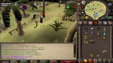 Lost Zulrah Pet Right After Getting It Youtube