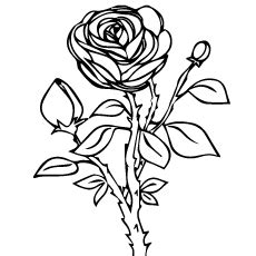 This coloring page beautiful rose boutique shows an open flower shop where we can find beautiful, lovely and affordable flowers for all occasions. Top 25 Free Printable Beautiful Rose Coloring Pages for Kids